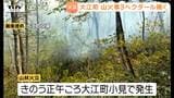 【現場動画】大江の山林火災　斜面の枯草や樹木など3ヘクタール焼く　建物への被害やけが人はなし（山形）|TBS NEWS DIG