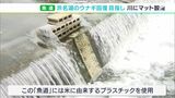 「ウナギをいっぱい食べられるように」天然ウナギの遡上助ける”魚道マット”設置 素材はお米由来のプラスチック利用ー静岡・浜松市 | 静岡のニュース | SBSNEWS | 静岡放送