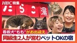 ワンコもニャンコも…どんな人にもやさしい温泉宿『たらこ湯』 聴覚障害の女性と同級生が営む全室ペットOKの宿 癒しの看板犬“もも”も… 北海道白老町 | 北海道のニュース|HBC北海道放送