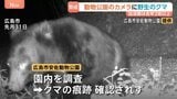 クマの出没件数 去年同月比2倍超!全国で目撃されるクマ!もし襲われたらどうすれば?被害にあった男性から聞く、身を守る術とは?|TBS NEWS DIG