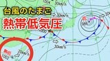 【台風情報】新たな台風のたまご「熱帯低気圧」日本の南西で発生…進路は北東で1時間に20キロの速さで進む…気象情報に注意 9日（火）まで雨風シミュレーション【気象庁 天気図】|TBS NEWS DIG