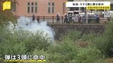 親子とみられるクマ3頭に弾が命中 河川敷付近を徘徊…市長指示のもと緊急銃猟 秋田・横手市|TBS NEWS DIG
