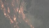 三重・津市の山火事 4日目のきょう午後5時過ぎに「鎮火」 約10ヘクタール焼ける けが人なし 県職員の「派遣基準」見直しへ|TBS NEWS DIG