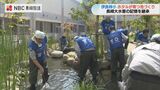 ホタル池の清掃活動  生き物の命を大切にする児童の心を育てる | 長崎のニュース | 天気 | NBC長崎放送