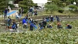 SNSで話題の"モネの池"を目指して 池の水を半分抜き約170人で清掃【岡山・津山市】 | 岡山・香川のニュース | 天気 | RSK山陽放送