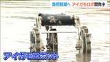 「有機農業の悩みを解決へ」合鴨ロボットの進化版お披露目 その新機軸とは? 新潟・新発田市|TBS NEWS DIG