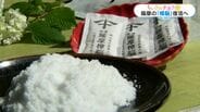 失われた美山の樟脳復活で新たな文化や雇用の力に　十五代・沈壽官さん　かつて防虫剤として重宝【ちいきのチカラ(17)】　|　鹿児島のニュース｜MBC NEWS｜南日本放送