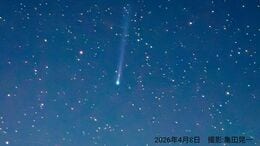 「パンスターズ彗星」が見ごろへ　夜明けの空に見える彗星　地球に最接近中【2026年】|TBS NEWS DIG