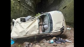 「伊尾木洞」で車が25m転落、フィリピン国籍の女性1人が意識不明…他1人も重傷 天然洞窟・人気の観光スポット【高知・安芸市】|TBS NEWS DIG