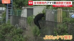 クマの目撃相次いでいた栃木・宇都宮市で1頭捕獲 住宅街に逃げ込み…麻酔銃使って捕獲 フェンスよじ登る姿も|TBS NEWS DIG