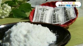 失われた美山の樟脳復活で新たな文化や雇用の力に　十五代・沈壽官さん　かつて防虫剤として重宝【ちいきのチカラ(17)】　|　鹿児島のニュース｜MBC NEWS｜南日本放送
