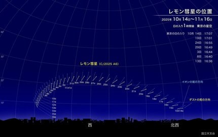 レモン彗星」1300年ぶりに地球接近！11月にかけて見頃、肉眼でも観察