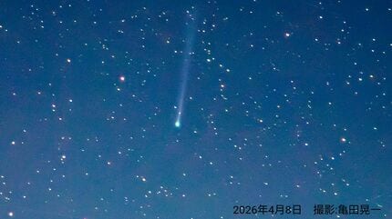 パンスターズ彗星」が見ごろへ 夜明けの空に見える彗星 地球に最接近中
