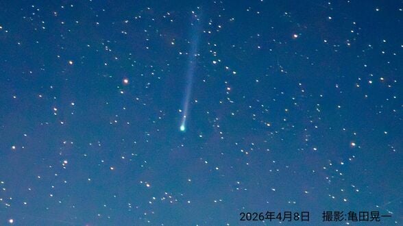 「パンスターズ彗星」が見ごろへ　夜明けの空に見える彗星　地球に最接近中【2026年】|TBS NEWS DIG