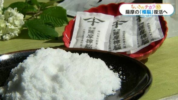 失われた美山の樟脳復活で新たな文化や雇用の力に　十五代・沈壽官さん　かつて防虫剤として重宝【ちいきのチカラ(17)】　|　鹿児島のニュース｜MBC NEWS｜南日本放送