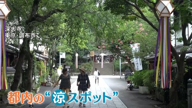 “猛暑知らず”8月平均気温27℃の避暑地・北茨城市&都心からアクセス良好の深大寺が人気!涼しさの理由とは?|TBS NEWS DIG