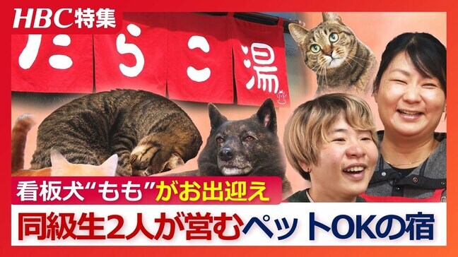 ワンコもニャンコも…どんな人にもやさしい温泉宿『たらこ湯』 聴覚障害の女性と同級生が営む全室ペットOKの宿　癒しの看板犬“もも”も…　北海道白老町|TBS NEWS DIG