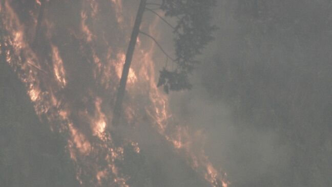 三重･津市の山火事 4日目のきょう午後5時過ぎに｢鎮火｣ 約10ヘクタール焼ける けが人なし 県職員の｢派遣基準｣見直しへ|TBS NEWS DIG