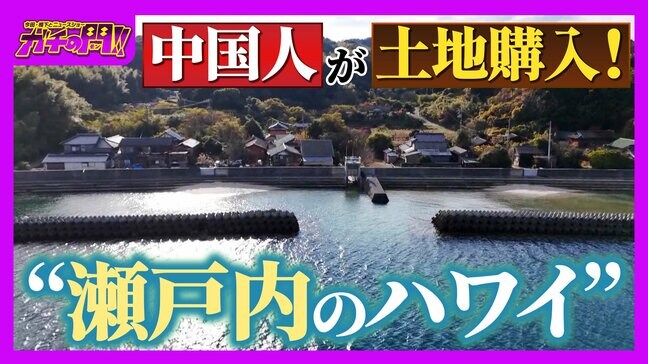 【買われる日本】上海在住の中国人が土地購入！定住者たった１人の“瀬戸内のハワイ”　「外国人による土地取得」で揺れる日本の現状【ガチの門】|TBS NEWS DIG