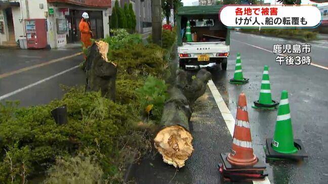 台風10号で被害　奄美市で男性が骨折　鹿児島市では街路樹倒れる　喜界町では倒木・船が転覆も|TBS NEWS DIG