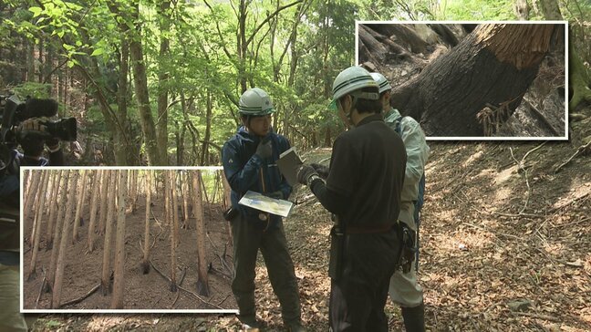 岩手県大槌町の山林火災の発生から22日で1か月 現地調査進む 山林復旧の課題は 岩手|TBS NEWS DIG