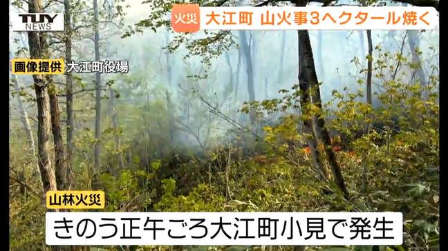 【現場動画】大江の山林火災 斜面の枯草や樹木など3ヘクタール焼く 建物への被害やけが人はなし(山形)|TBS NEWS DIG