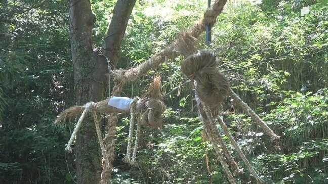 「まずは皆さんの健康と幸せが一番」約300年前から続く神事「天王様のお注連あげ」 長さ11メートルのしめ縄を木にくくりつけ＝静岡・西伊豆町|TBS NEWS DIG