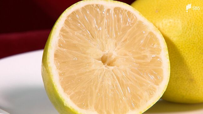 「収入も需要もあるレモン」茶どころ静岡・牧之原でレモンづくりが盛んに…「お茶が安くて」耕作放棄地を減らし　持続的な生産へ【SDGs】|TBS NEWS DIG