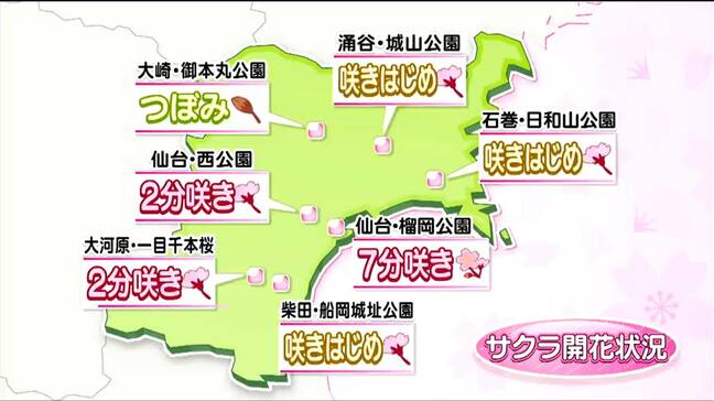 「この土日でどんどん咲き進む」各地の開花状況と気になる週末の天気は? 宮城・tbc気象台|TBS NEWS DIG