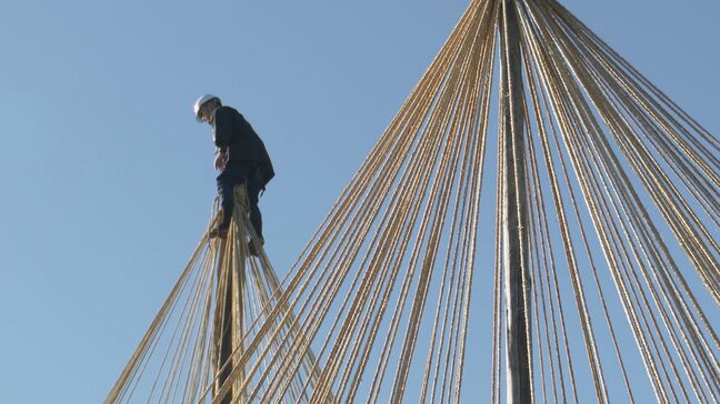 国の特別名勝・兼六園で唐崎松の雪吊り 冬の訪れを告げる 年に一度の風物詩 石川・金沢市|TBS NEWS DIG