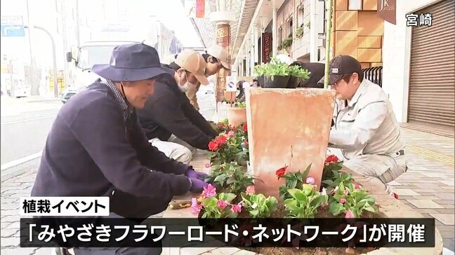 宮崎市の中心市街地を美しい花で彩る　市民ボランティアが花の苗を植栽|TBS NEWS DIG