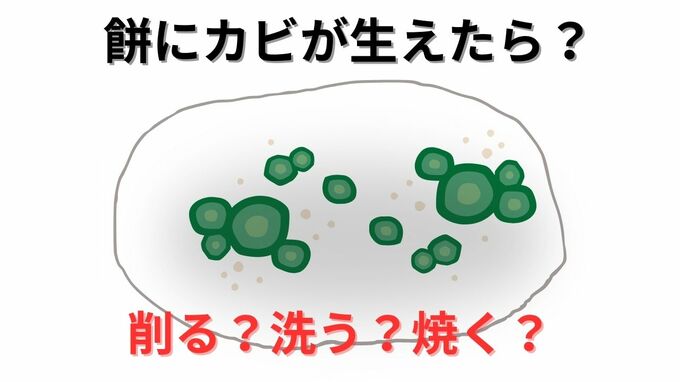 カビが生えた餅「カビを削ったら大丈夫？」削っても洗っても焼いてもカビ毒は…専門家は「菌糸は取り切れないことが多い」|TBS NEWS DIG