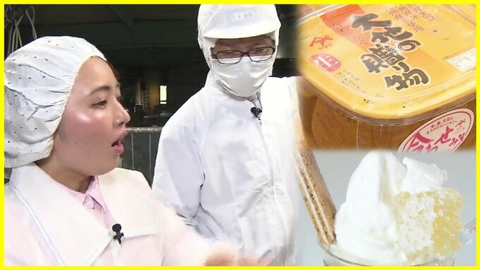 蜂の巣ごと蜂蜜パクリ！？味くらべで“マイ醤油”探しも　現地グルメも楽しめちゃう『工場見学』がアツい　|　熊本のニュース｜RKK NEWS｜RKK熊本放送