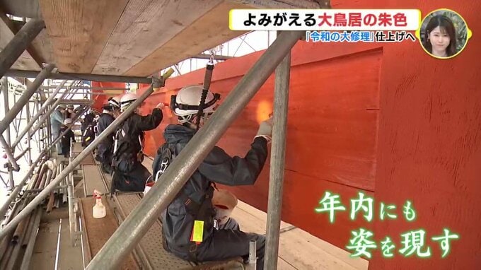 宮島　よみがえる大鳥居の朱色　「令和の大修理」仕上げへ（22年6月時点の映像）|TBS NEWS DIG