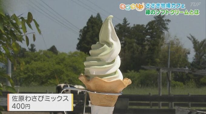 暑い日に食べたい！ひんやりスイーツ特集　|　福島のニュース│TUF