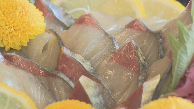 市長「いいですね！いける！これは、脂がよく乗っとる！」　新たな特産品となるか？「笠戸のさば」お披露目　|　山口のニュース・天気・防災｜tys NEWS｜ｔｙｓテレビ山口