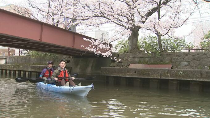 「なだれ込むようにサクラを下から見る」川面からお花見楽しむ”さくらカヤック”始まる　鳥取・米子市　|　BSSニュース | BSS山陰放送