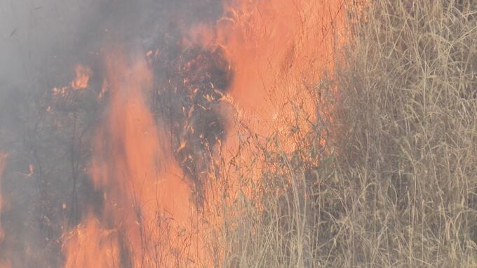 山焼きで男性1人死亡…市長「市民の命を守れなかったことは痛恨の極み」原因究明へ検証進める　山口・美祢|TBS NEWS DIG