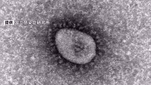 【速報】世界の新型コロナ感染者５億人を超える