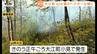 【現場動画】大江の山林火災　斜面の枯草や樹木など3ヘクタール焼く　建物への被害やけが人はなし（山形）　|　山形のニュース│TUYテレビユー山形