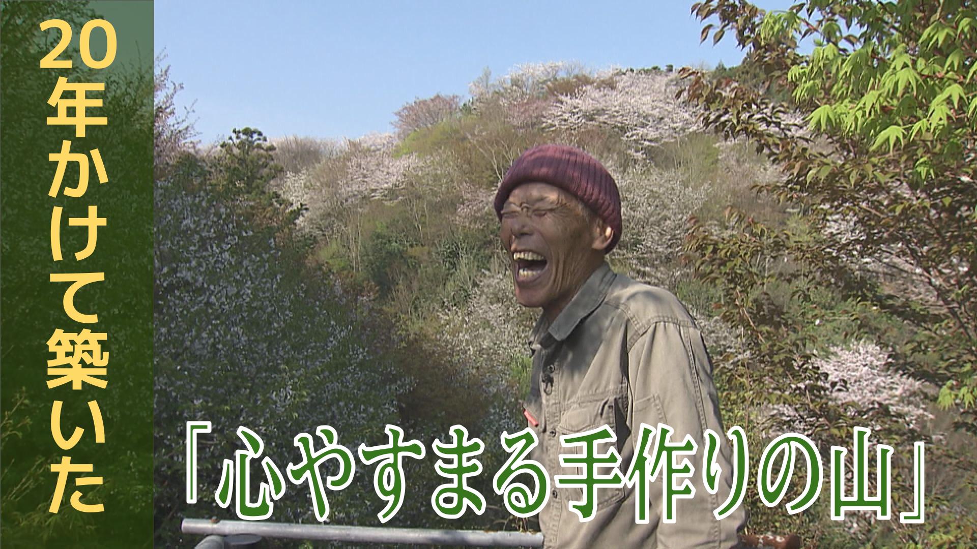 一人の男性が20年かけて築いた「心やすまる手作りの山」【長崎のサクラ