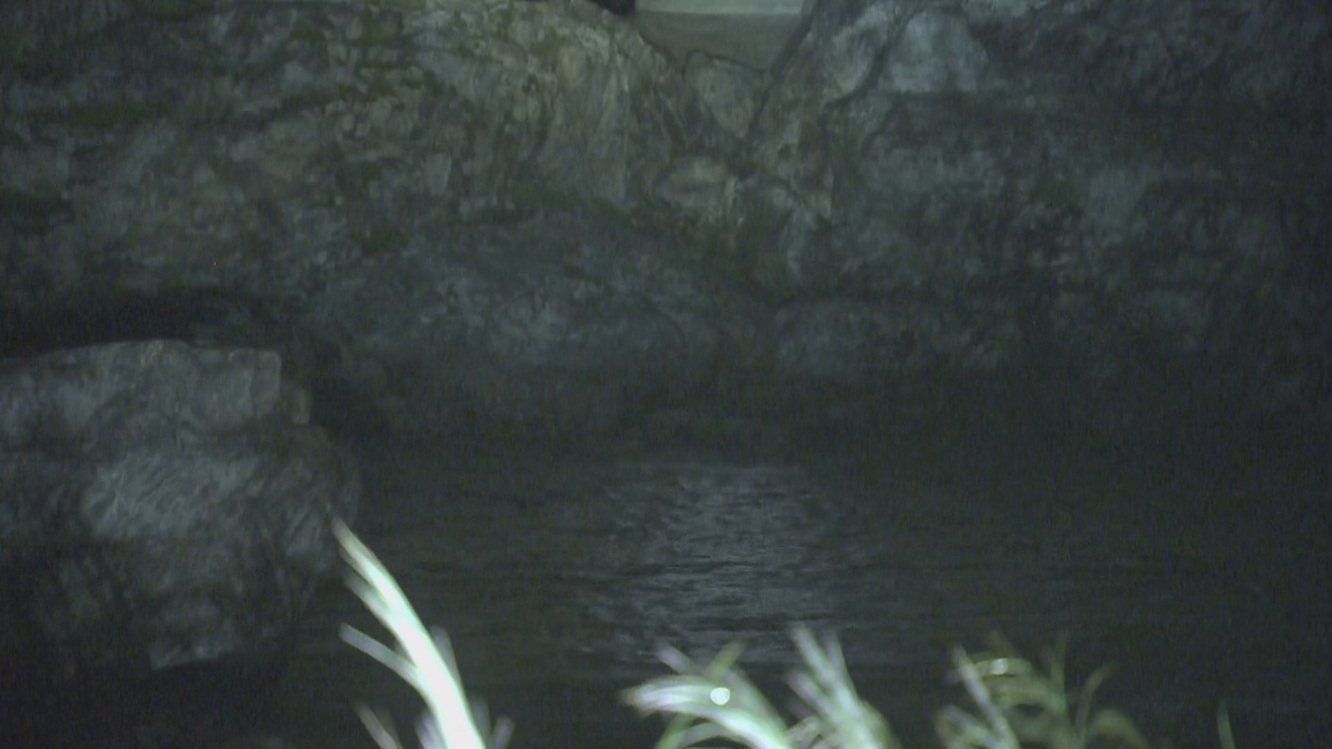 川で水難事故が相次ぐ　下呂市で岩から飛び込んだベトナム国籍の男性1人が死亡　岐阜市では男性（41）が意識不明の重体に