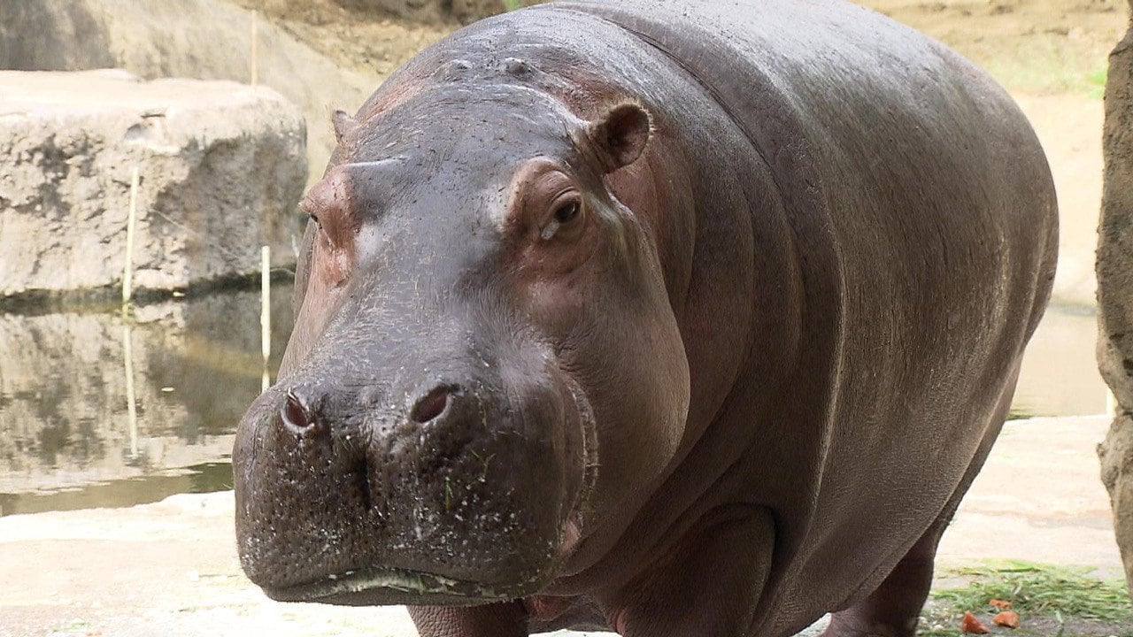 img_86e185280c624a9ca326edffcf