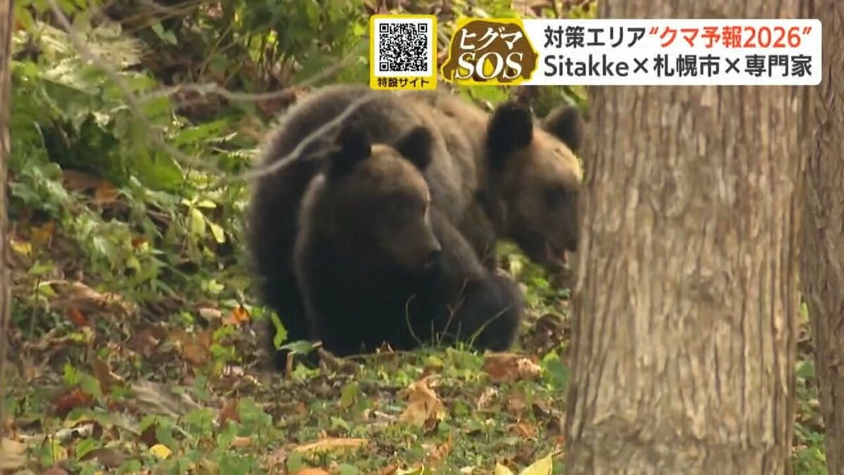 札幌】「クマ予報2026」公開！20年分のDNAデータで特定された警戒
