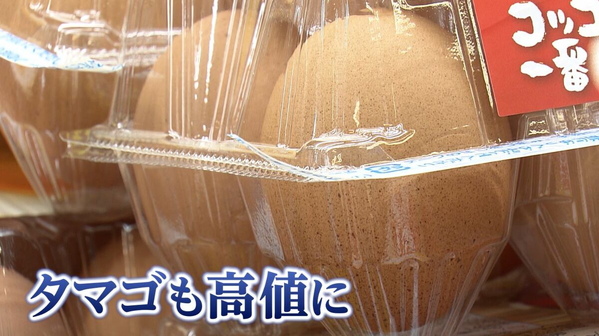 高いね。高い」“物価の優等生”タマゴの価格が高止まり 生産者「やっと