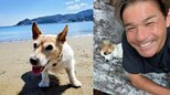 【 いぬ 】照英の愛犬パピコ「酷暑日が続いていて難しいですかね〜」 お昼寝で外遊びは思案中 先輩の愛犬テンはビーチの思い出|TBS NEWS DIG