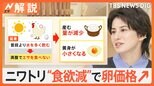 卵の価格が4か月ぶりに上昇 要因は“猛暑”と“お盆明け”のダブルパンチ?【Nスタ解説】|TBS NEWS DIG