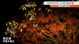 信玄堤の紅葉が見頃　ライトアップされて幻想的な雰囲気に　|　山梨のニュース | ＵＴＹテレビ山梨