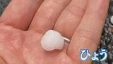 上空の寒気の影響で天気急変 上野原でひょう 今夜遅くにかけて強い雨や落雷に注意 山梨|TBS NEWS DIG