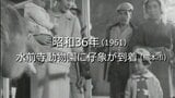 水前寺動物園に仔象が到着【昭和36年・1961】~RKKニュースミュージアム~ 熊本 | 熊本のニュース|RKK NEWS|RKK熊本放送